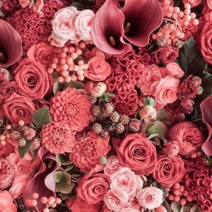 Meet your Posher, Tatiana